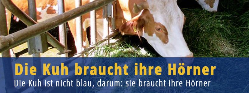 Ernährungsumstellung