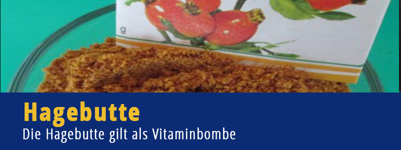 Hagebutte Vitamine