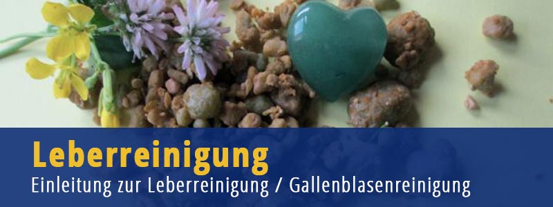 Leberreinigung - Gallenblasenreiniung