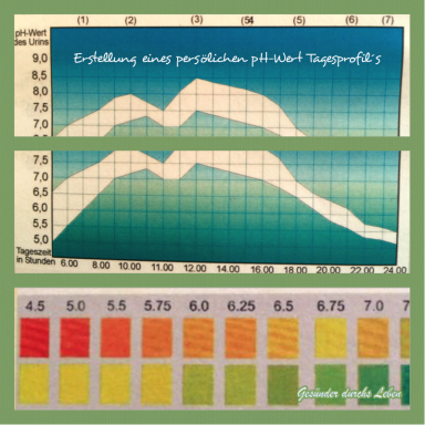 pH-Wert_Tagesprofil-Tabelle_.png