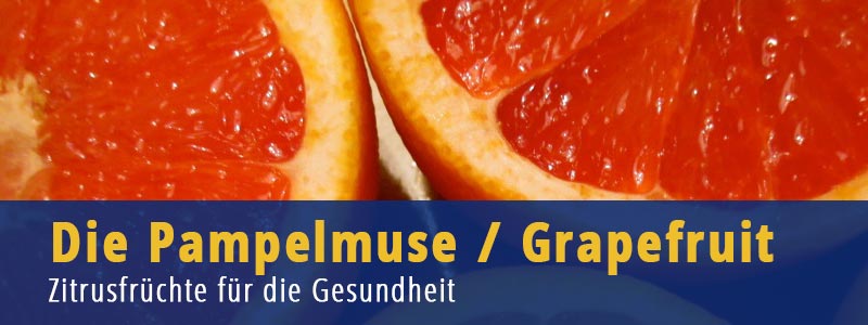 Grapefruit Pampelmuse