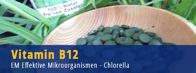 Vitamin B 12, Ernährungsumstellung, Chlorella