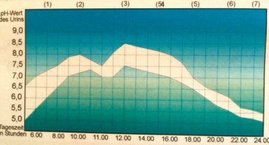 pH-Wert-Tagesprofiltabelle_IMG_1841.jpg