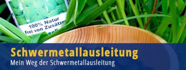 Schwermetallausleitung